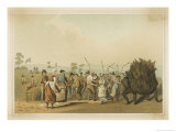 Buy Farm Hands Hurry to Harvest This Temperamental Crop at AllPosters.com