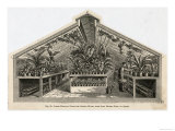 Tropical Plant and Orchid House