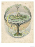 Buy Yggdrasil the Sacred Ash the Tree of Life the Mundane Tree of Norse Mythology at AllPosters.com