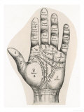 Map of the Hand