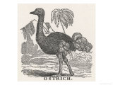 Buy Profile View of an Ostrich Within a Landscape of Hills and Palm Trees at AllPosters.com