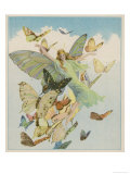 Fairy Flying with Butterflies
