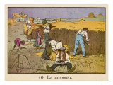 Barefoot and in Sabots French Farmhands Make Hay While the Sun Shines