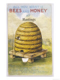 Buy Beehive and One Bee at AllPosters.com
