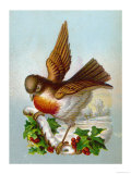 Robin in a Winter Scene
