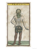 Back View of a Man According to Theosophical Principles