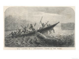 His Boat is Rammed by a Hippopotamus Displeased Because Its Young Have Been Shot by the Expedition