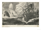 Whale Captured by a Steamship