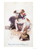 Patriotic British Bulldog, There's Life in the Old Dog Yet!