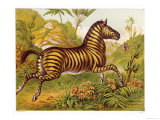 Running Amidst the African Flora