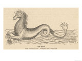 Buy Sea Horse at AllPosters.com