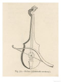 Buy An Early Bowed String Instrument Favoured by Minstrels at AllPosters.com