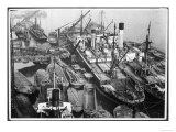 Barges Cranes and Tramp Steamers at the London Docks