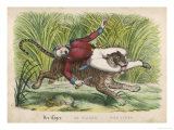 Tiger Attacks a Man and Carries Him off in Its Mouth