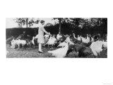 Young Woman on Her Morning Round Feeding the Flock of Turkeys She is Rearing for Commercial Sale