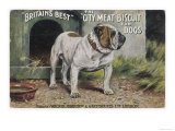 Bulldog Stands Outside His Kennel in an Advertisement for 