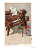 Buy Musical Dachshund Plays a Tune on the Piano at AllPosters.com