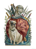 Belligerent Bulldog with an Array of Assorted Weaponry