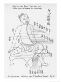 Buy Acupuncture the Meridian of the Loins at AllPosters.com