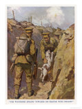 Buy Private Brown of the North Staffordshires in the Trenches in France is Found by His Terrier at AllPosters.com