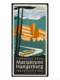 Art Deco Label Fron the Terrassen Hotel Mariabrunn Hungerberg Innsbruck Austria
