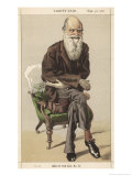 Buy Charles Darwin Naturalist at AllPosters.com