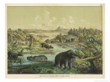 Buy Animals and Plants of the Tertiary Era in Europe at AllPosters.com