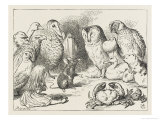 The Mouse Holds Court