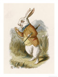 Alice and the White Rabbit