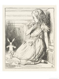 Buy Alice Watches the White Rabbit Disappear Down the Hallway at AllPosters.com