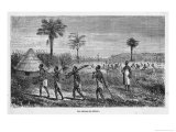 Buy Central Africa Slave Gang Encountered by Speke and Grant During Their Travels at AllPosters.com