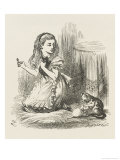 Black Kitten Alice Plays with the Kittens