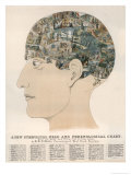 Buy Phrenological Head at AllPosters.com