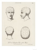 The Phreonological Systems of Gall and Spurzheim