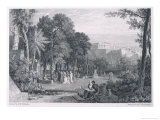 Buy Philosophers Consider the Meaning of Life in the Grove of Academe at AllPosters.com
