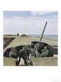 Buy German Anti-Aircraft Battery at AllPosters.com