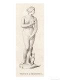 Buy Venus of Medicis at AllPosters.com