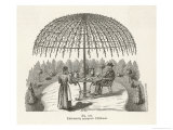 Buy If You Train Your Tree Properly You Will Not Need to Buy a Garden Umbrella at AllPosters.com
