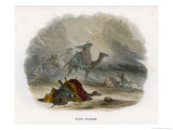 Buy In the African Desert at AllPosters.com