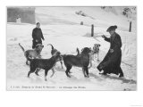 At the Hospice du Grand Saint- Bernard Dogs are Trained to Rescue Unfortunate Travellers