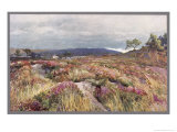 Buy Dorset Scenery: Heath at Lytchett Minster at AllPosters.com
