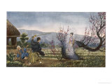 Buy Spirit of Plum Tree at AllPosters.com