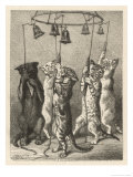 Buy These Five Cats Have Been Taught at AllPosters.com