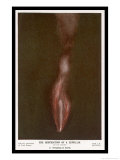 Buy German Zeppelin Shot Down Over England at AllPosters.com