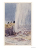 The Eruption of Wairoa Geyser in New Zealand