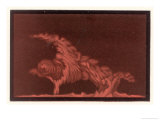 Buy Striking Display of Solar Flares at AllPosters.com