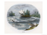 Buy Rapids on a North American River at AllPosters.com