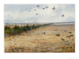 Buy Partridges at Sandringham at AllPosters.com