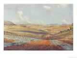 Buy The Monaro Plains at AllPosters.com