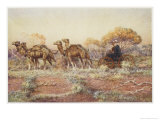 Buy Surveyors in a Camel-Drawn Carriage Reconnoitre the Route for the Trans-Continental Railway at AllPosters.com